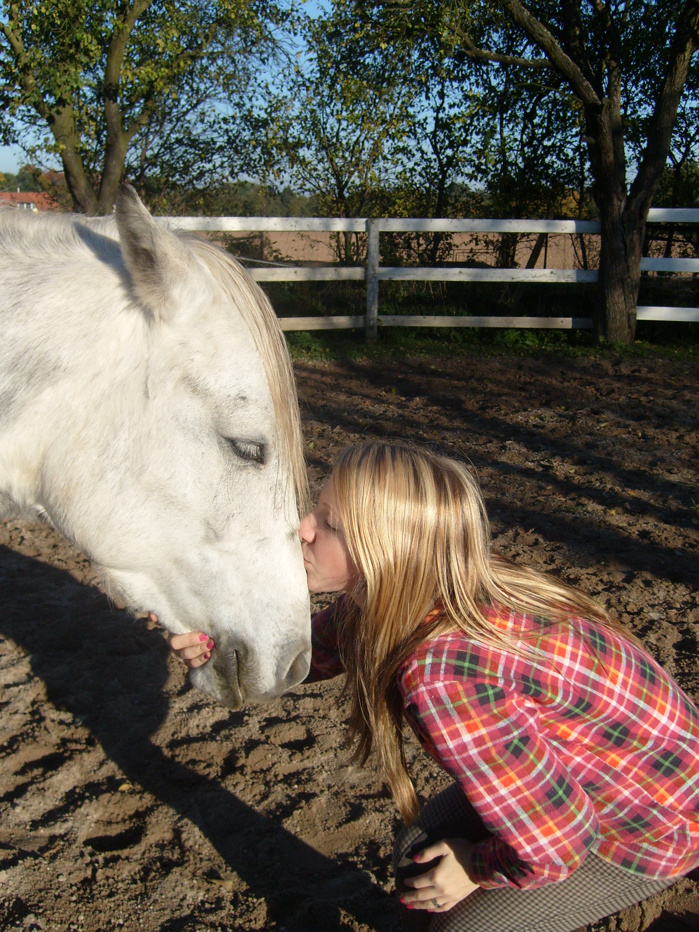 Nikča s Gipsy :**